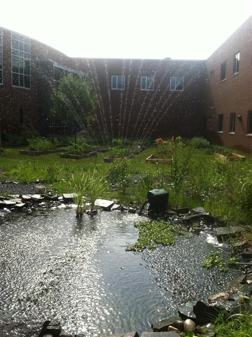 MHS Courtyard Garden 